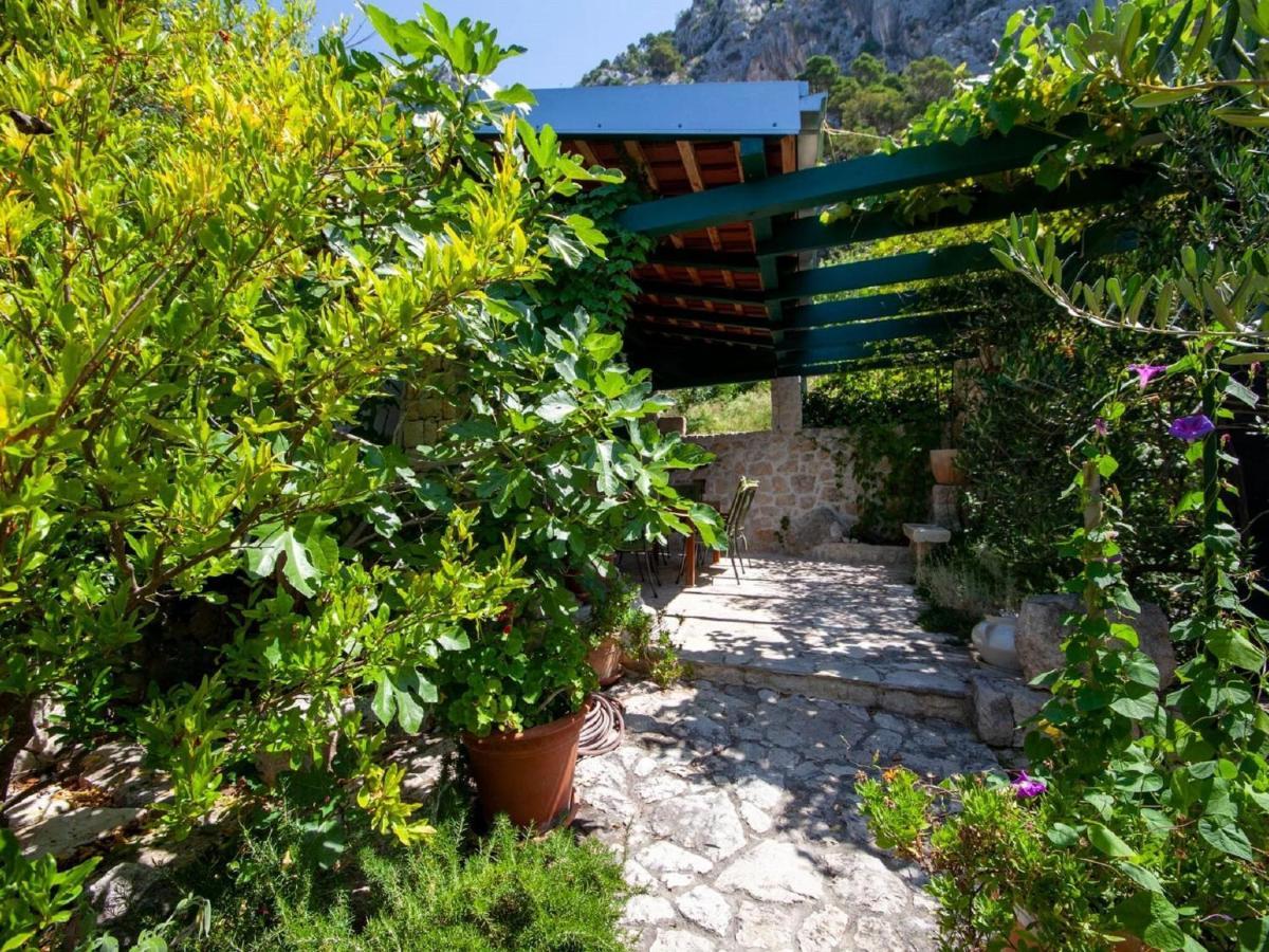 Luxurious Holiday Home In Makarska With Jacuzzi Zewnętrze zdjęcie
